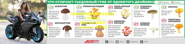 PSILOCYBIN Володарск