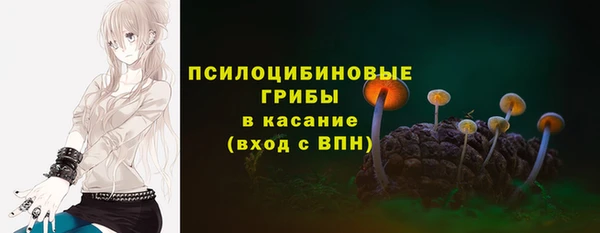 ECSTASY Волосово