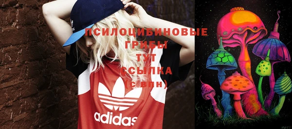 PSILOCYBIN Володарск