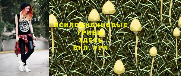 PSILOCYBIN Володарск